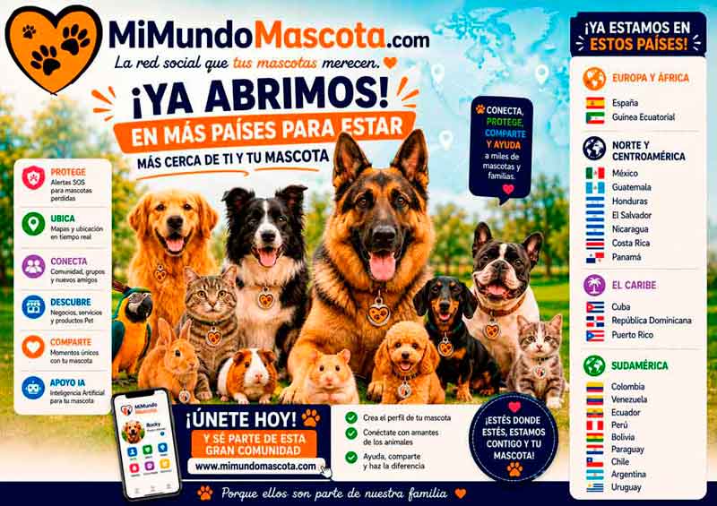 MiMundoMascota - Red social de mascotas