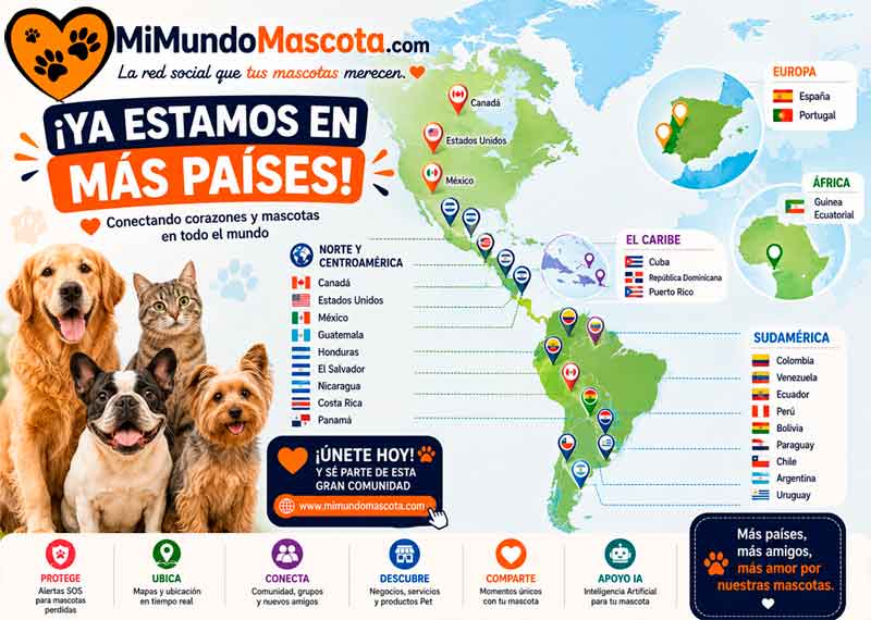 MiMundoMascota app - pantalla principal